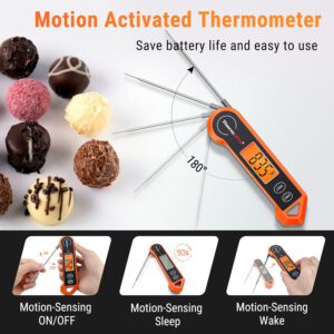 Digital Meat Thermometer