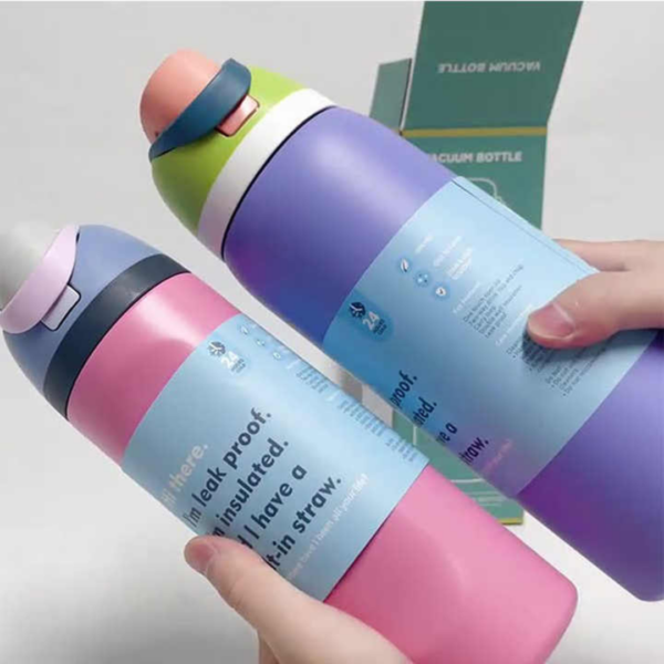 Insulated Water Bottle with Straw