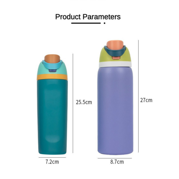 Insulated Water Bottle with Straw