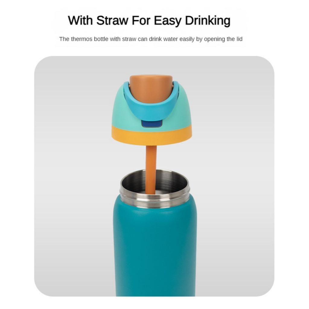 Insulated Water Bottle with Straw