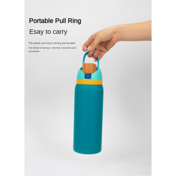 Insulated Water Bottle with Straw