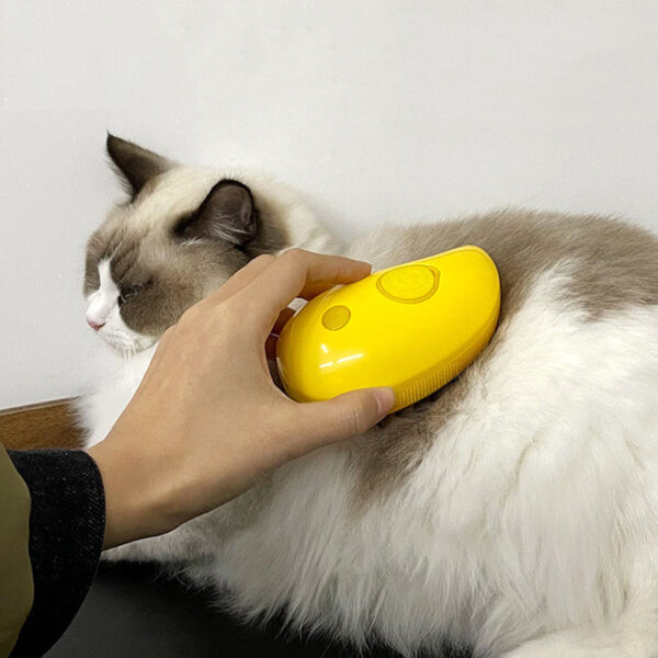 Cat Steam Brush