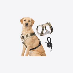 Pet Gadgets